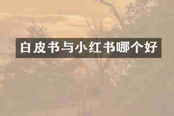 白皮书与小红书哪个好
