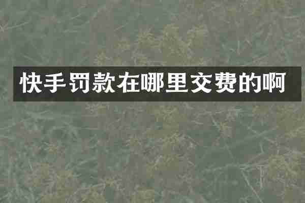 快手罚款在哪里交费的啊