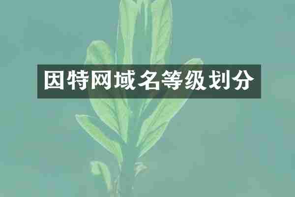 因特网域名等级划分