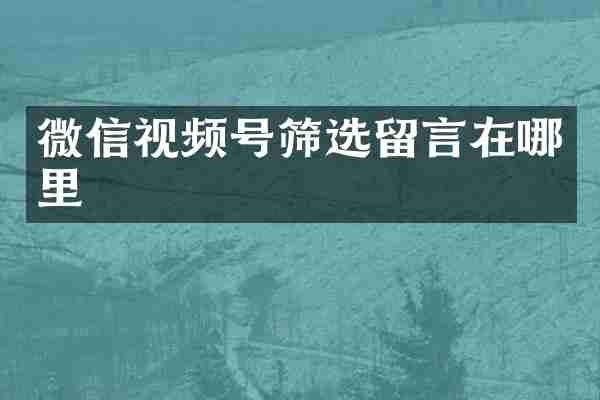 微信视频号筛选留言在哪里