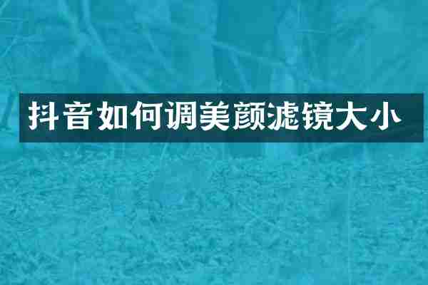 抖音如何调美颜滤镜大小