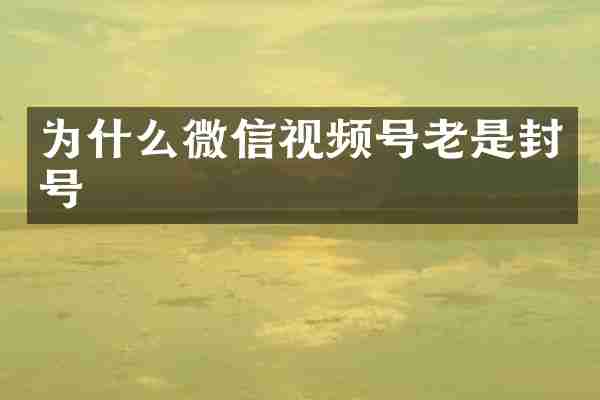 为什么微信视频号老是封号