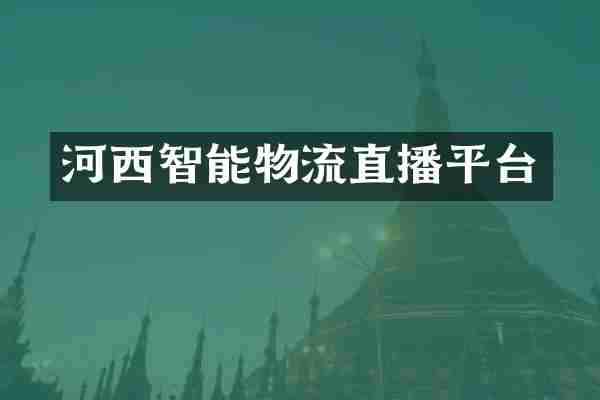 河西智能物流直播平台