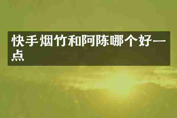 快手烟竹和阿陈哪个好一点