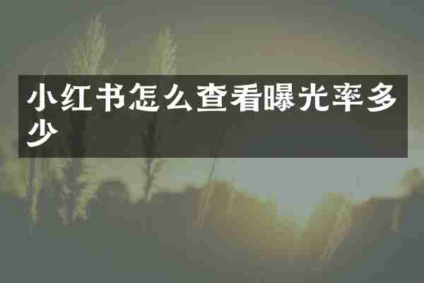 小红书怎么查看曝光率多少