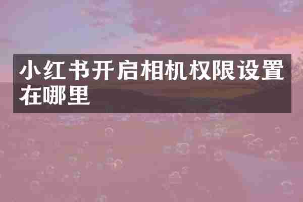 小红书开启相机权限设置在哪里
