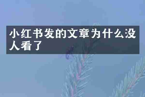 小红书发的文章为什么没人看了