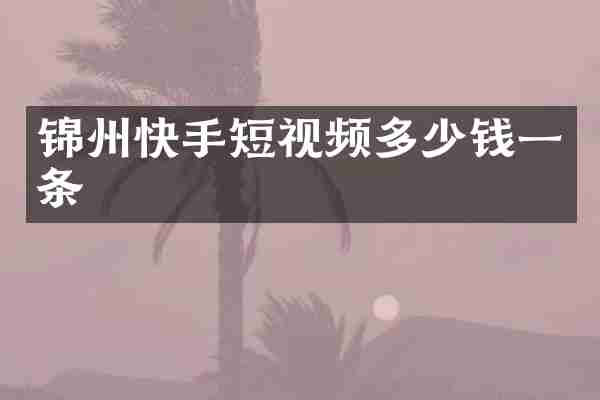 锦州快手短视频多少钱一条