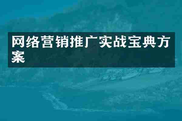 网络营销推广实战宝典方案