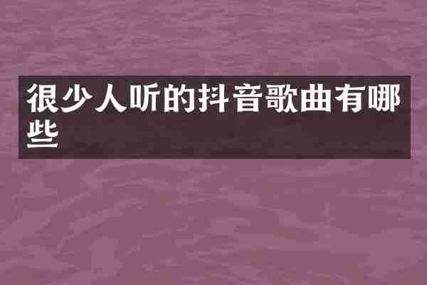 很少人听的抖音歌曲有哪些