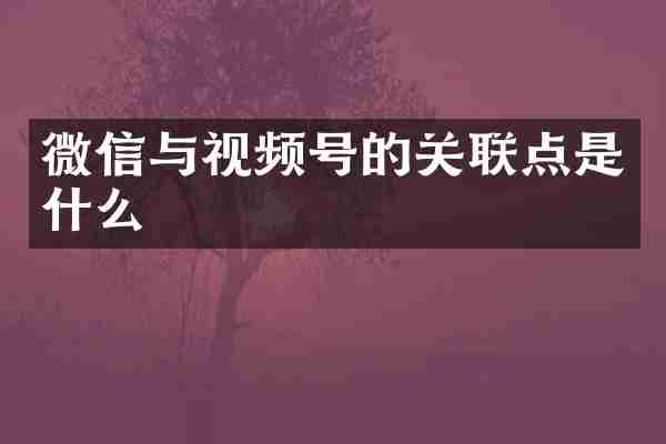 微信与视频号的关联点是什么
