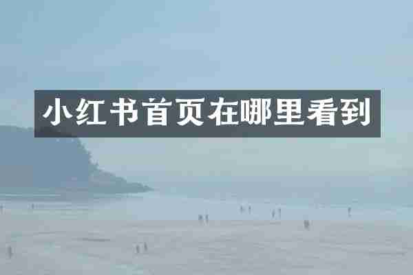 小红书首页在哪里看到
