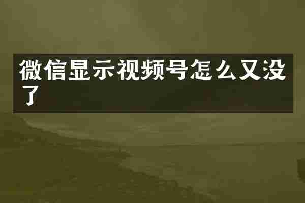 微信显示视频号怎么又没了