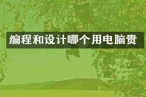 编程和设计哪个用电脑贵