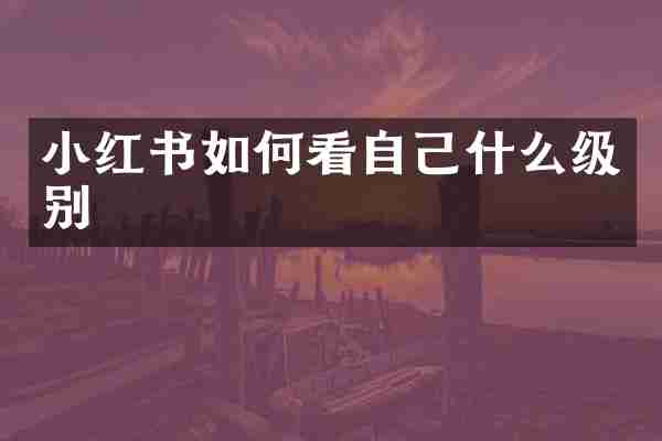 小红书如何看自己什么级别