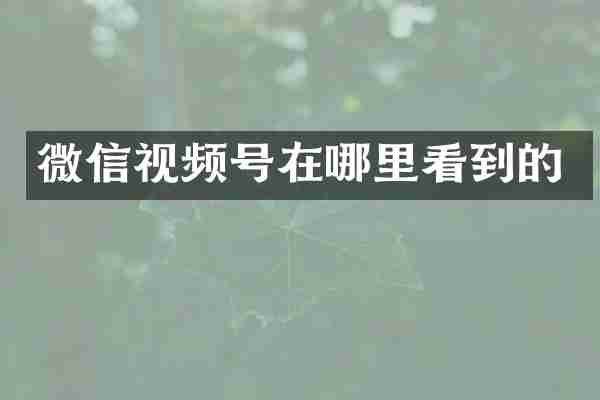 微信视频号在哪里看到的