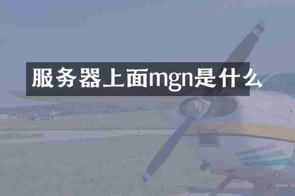 服务器上面mgn是什么