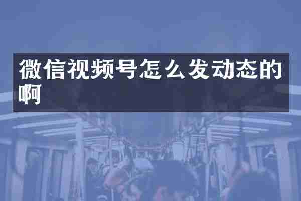 微信视频号怎么发动态的啊