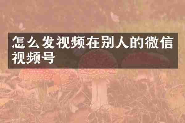 怎么发视频在别人的微信视频号