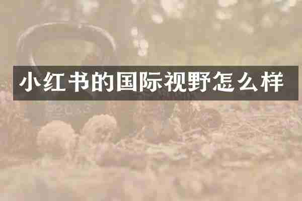 小红书的国际视野怎么样