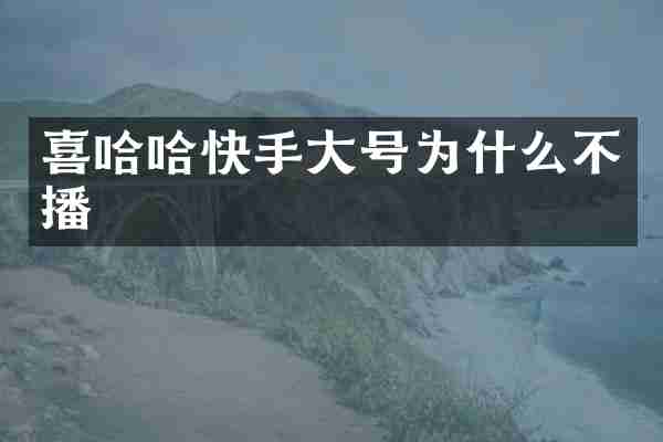 喜哈哈快手大号为什么不播