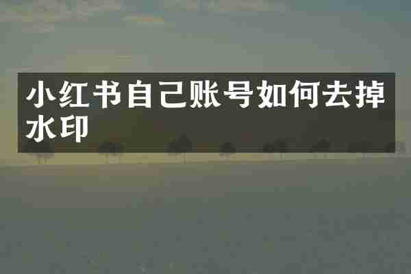 小红书自己账号如何去掉水印