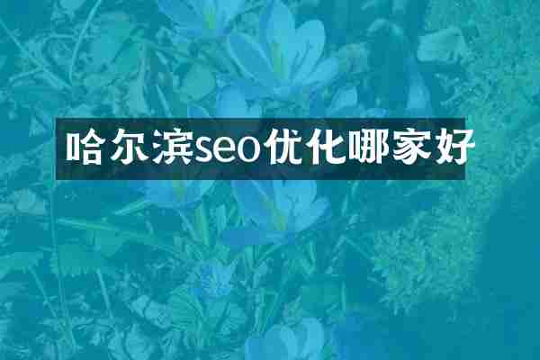 哈尔滨seo优化哪家好