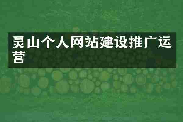 灵山个人网站建设推广运营
