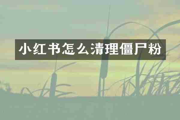 小红书怎么清理僵尸粉