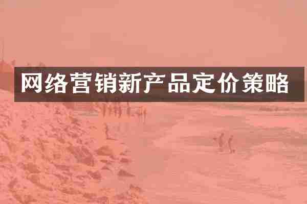 网络营销新产品定价策略