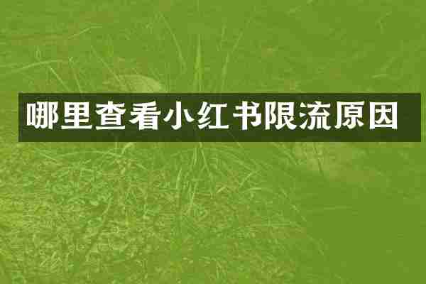 哪里查看小红书限流原因