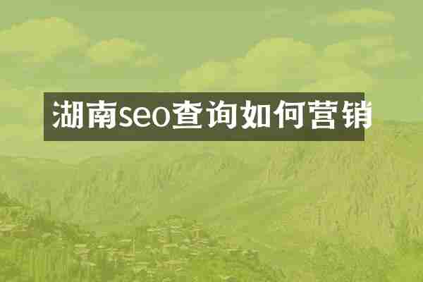 湖南seo查询如何营销