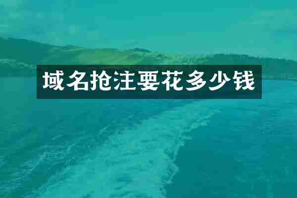 域名抢注要花多少钱