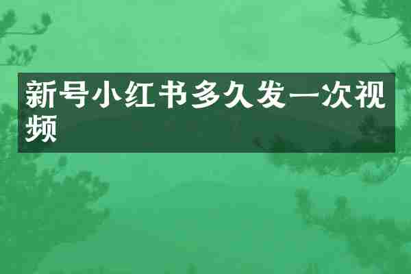 新号小红书多久发一次视频