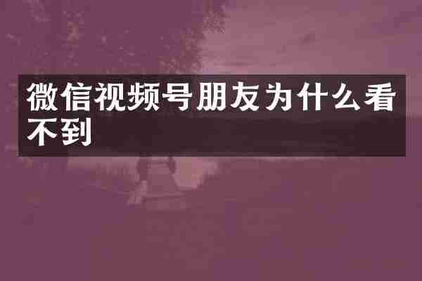 微信视频号朋友为什么看不到