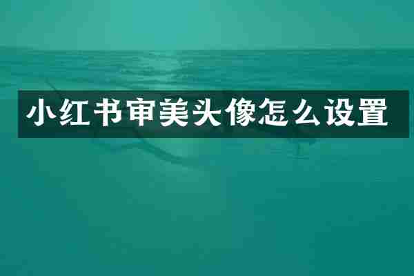 小红书审美头像怎么设置