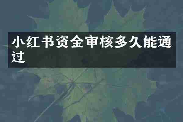 小红书资金审核多久能通过