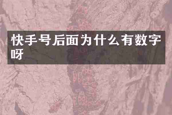 快手号后面为什么有数字呀
