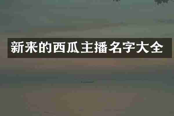 新来的西瓜主播名字大全