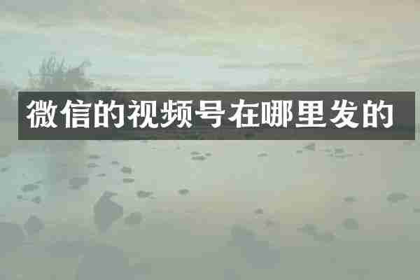 微信的视频号在哪里发的