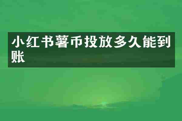 小红书薯币投放多久能到账