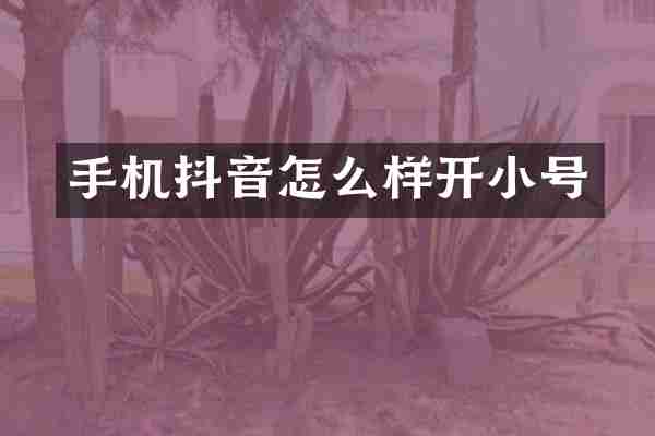 手机抖音怎么样开小号