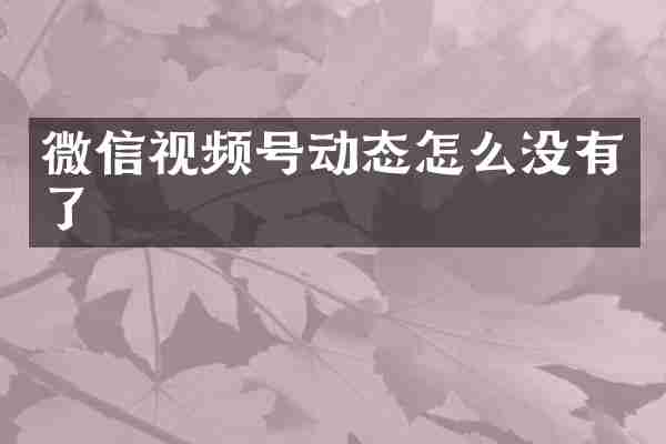 微信视频号动态怎么没有了