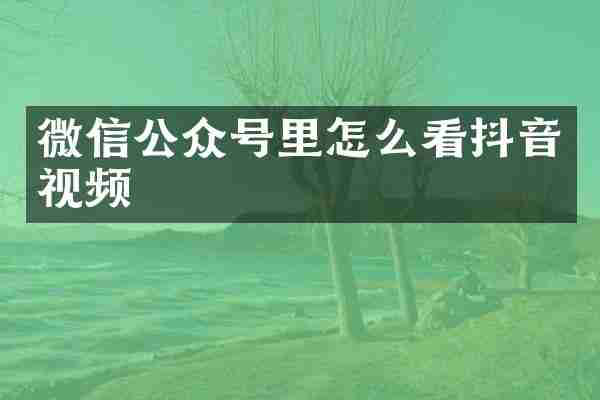 微信公众号里怎么看抖音视频