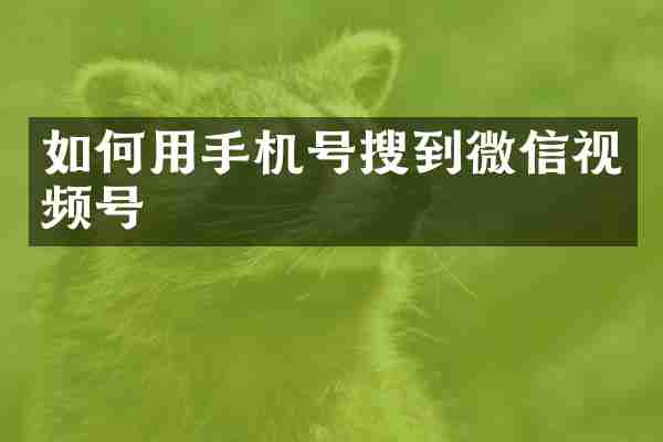 如何用手机号搜到微信视频号