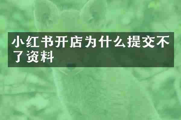 小红书开店为什么提交不了资料