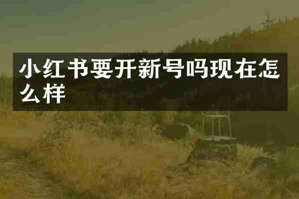 小红书要开新号吗现在怎么样