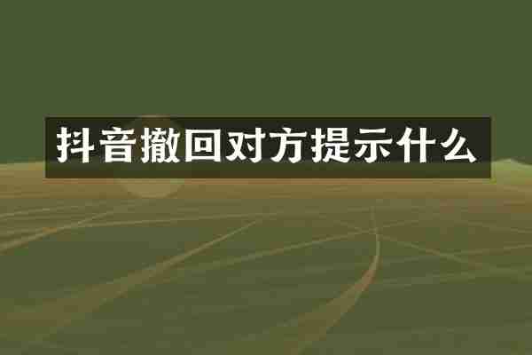 抖音撤回对方提示什么