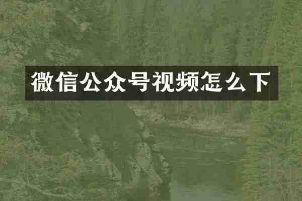 微信公众号视频怎么下
