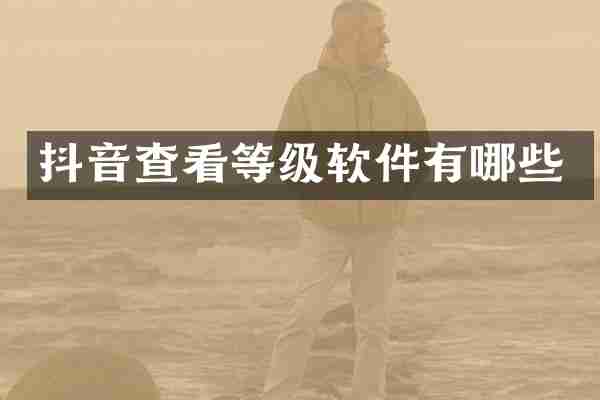 抖音查看等级软件有哪些